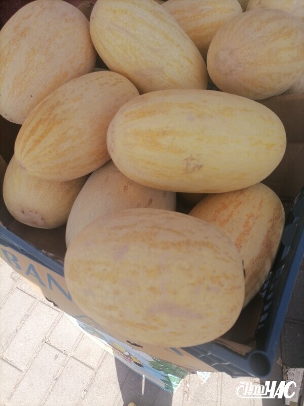 izobrazhenie_viber_2022-07-23_09-12-48-868
