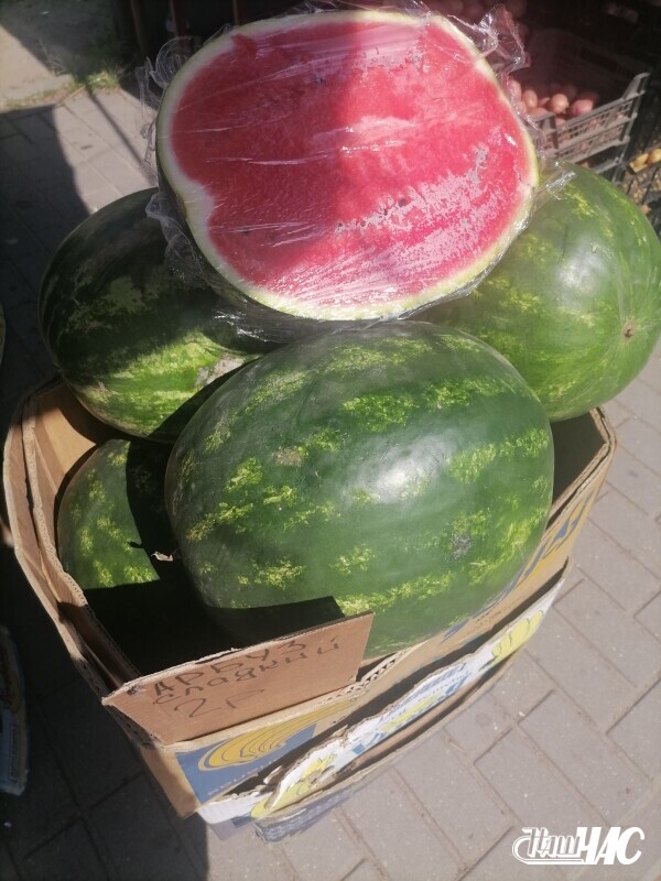 izobrazhenie_viber_2022-07-23_09-12-50-064