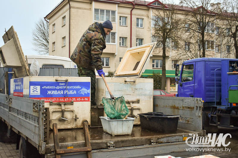изображение_viber_2024-12-21_10-54-27-754