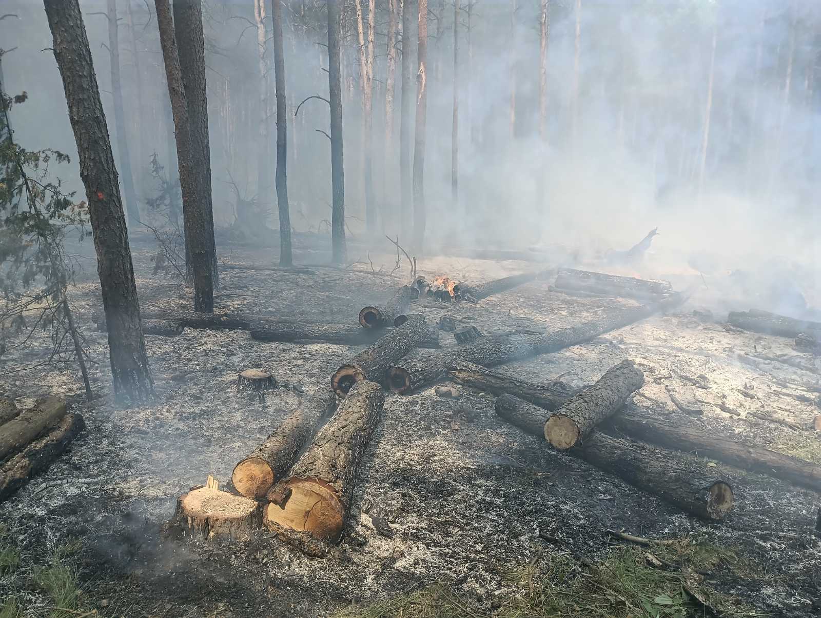 изображение_viber_2025-06-04_16-58-00-911