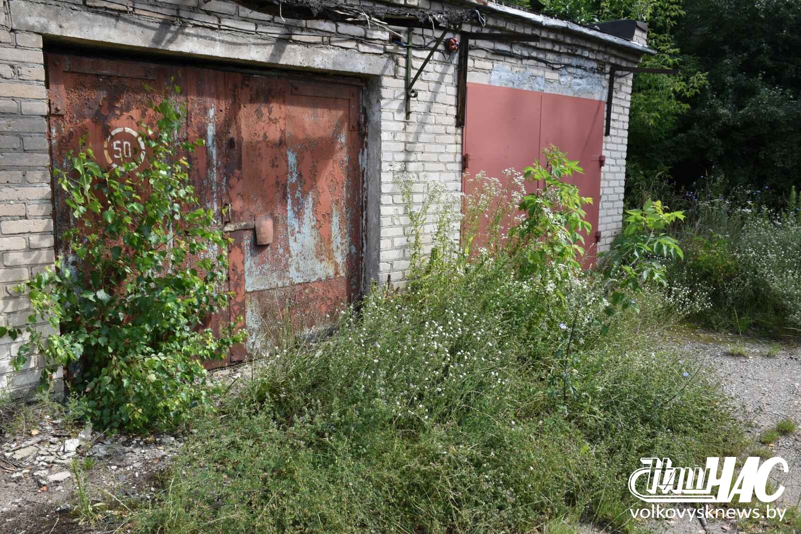 изображение_viber_2025-07-25_13-13-09-618