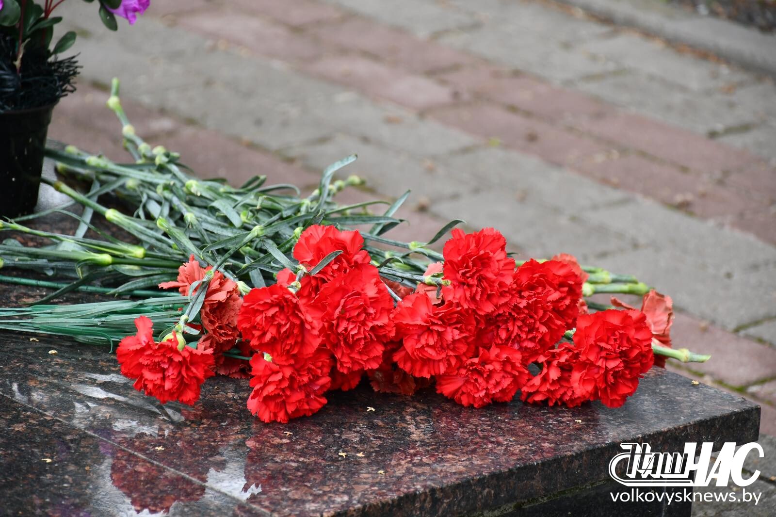 изображение_viber_2025-08-06_12-27-42-251