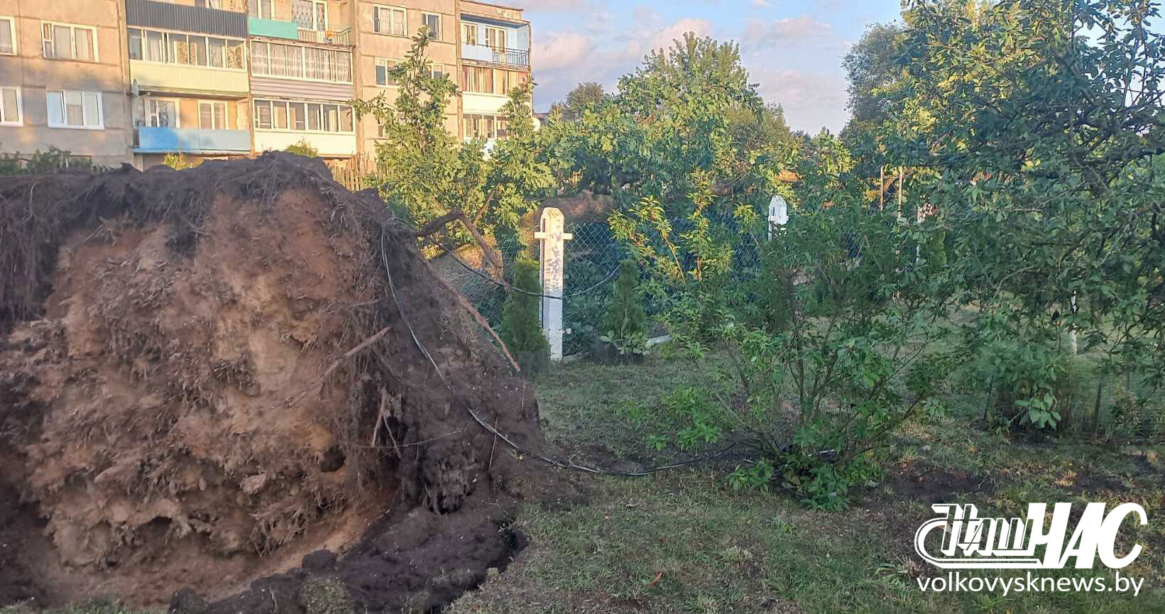 изображение_viber_2025-08-11_12-53-38-781