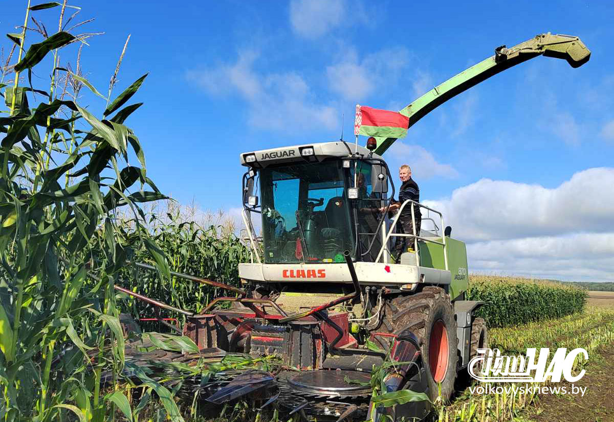 изображение_viber_2025-10-27_10-44-35-081