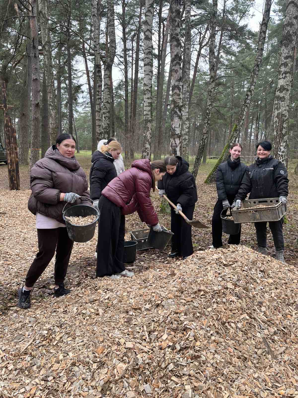 изображение_viber_2025-11-20_10-26-50-185