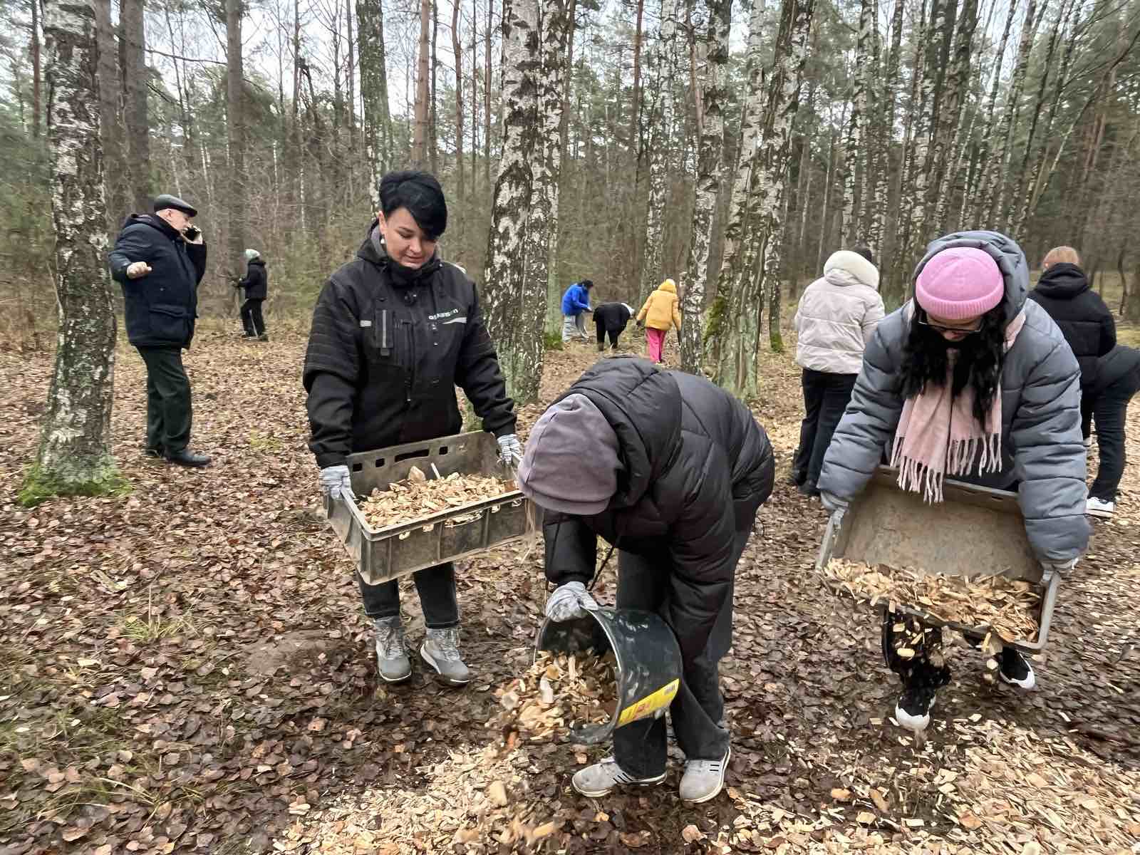 изображение_viber_2025-11-20_10-26-52-072