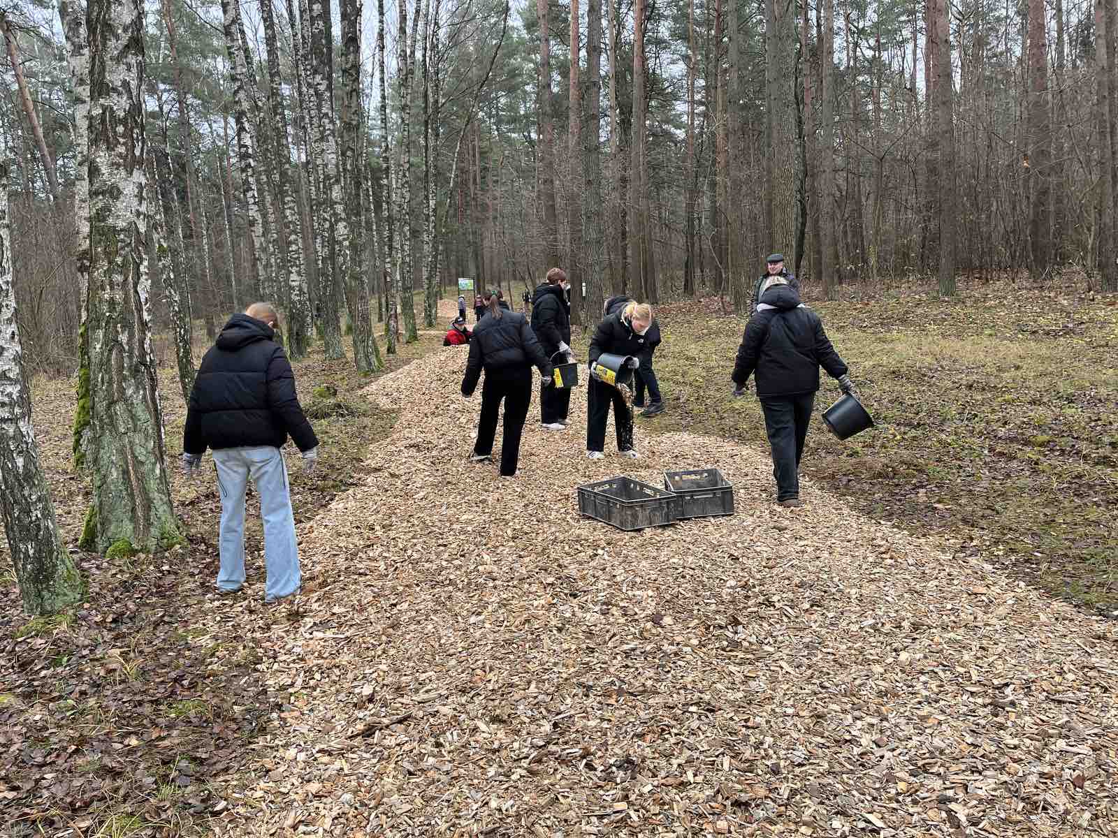 изображение_viber_2025-11-20_10-26-56-187