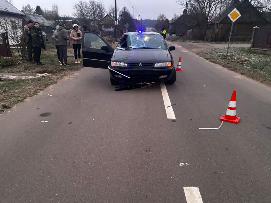 izobrazhenie_viber_2025-11-20_11-48-30-180