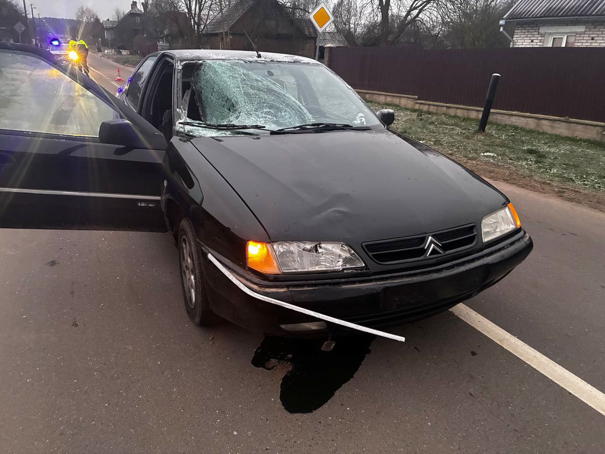 изображение_viber_2025-11-20_11-48-30-621