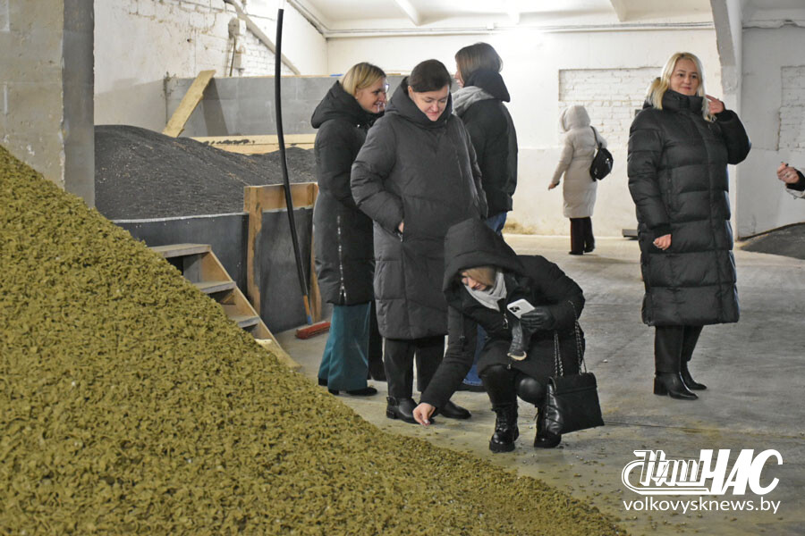 изображение_viber_2025-11-28_15-03-43-886