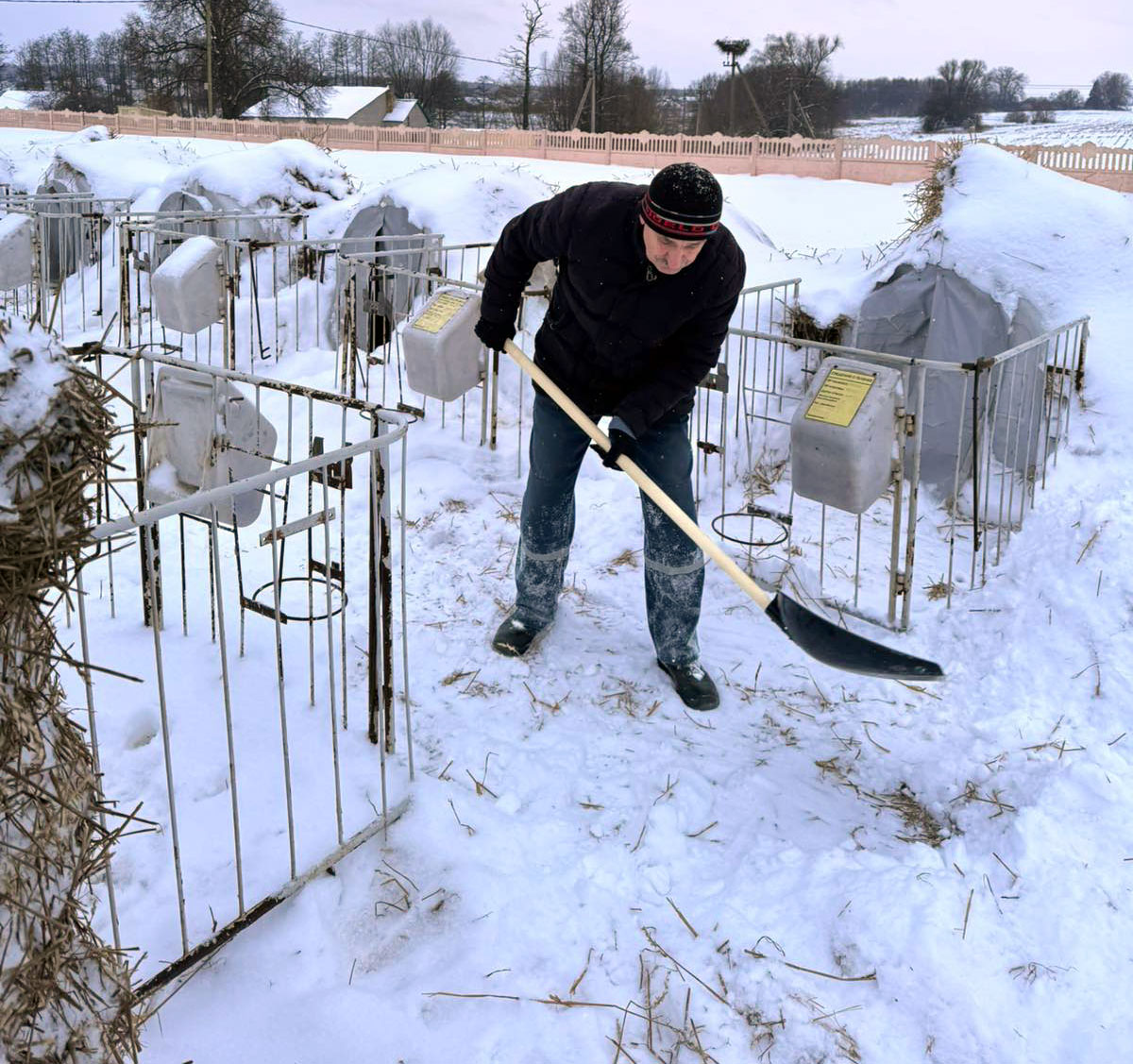 изображение_viber_2026-01-10_13-33-27-194