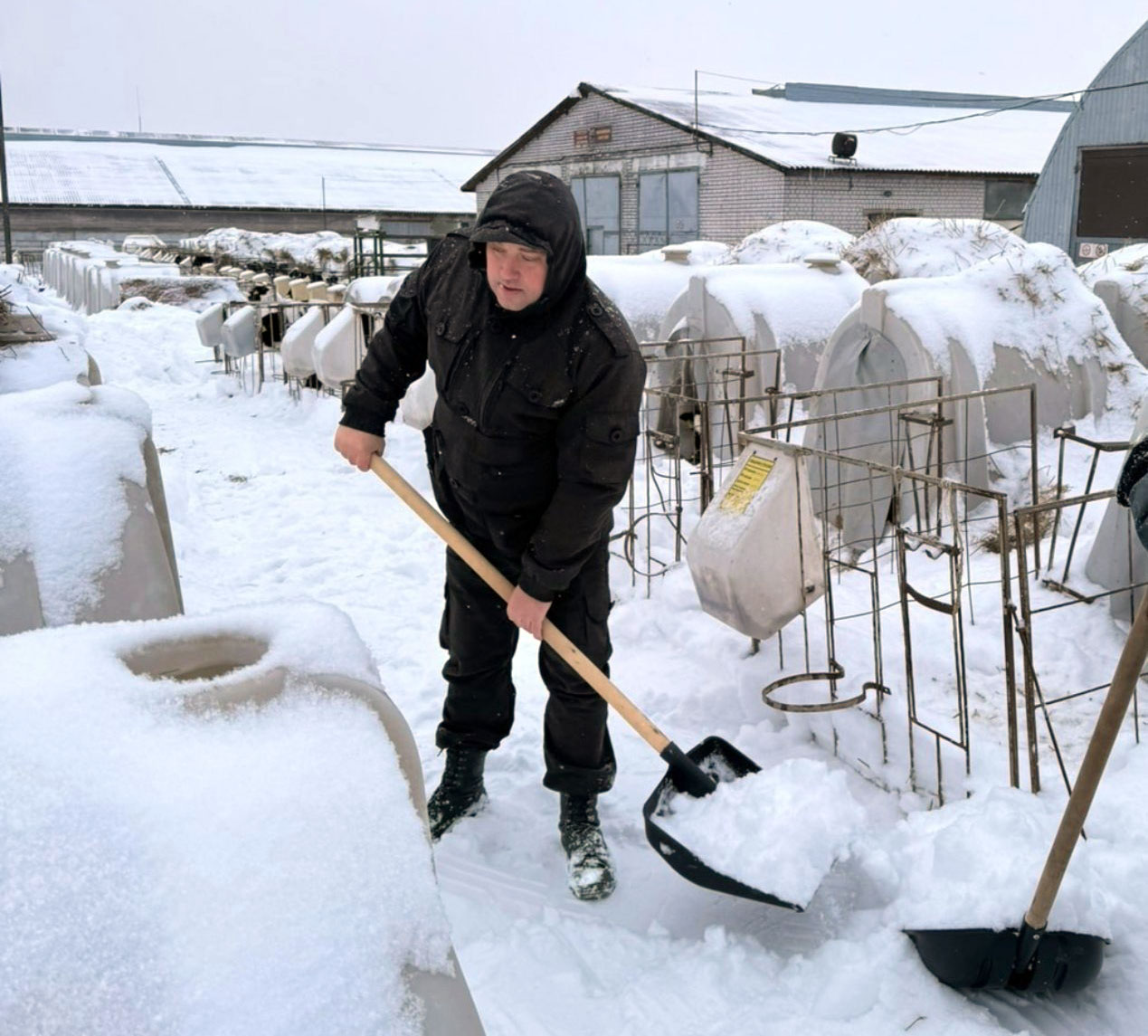 изображение_viber_2026-01-10_13-33-28-234