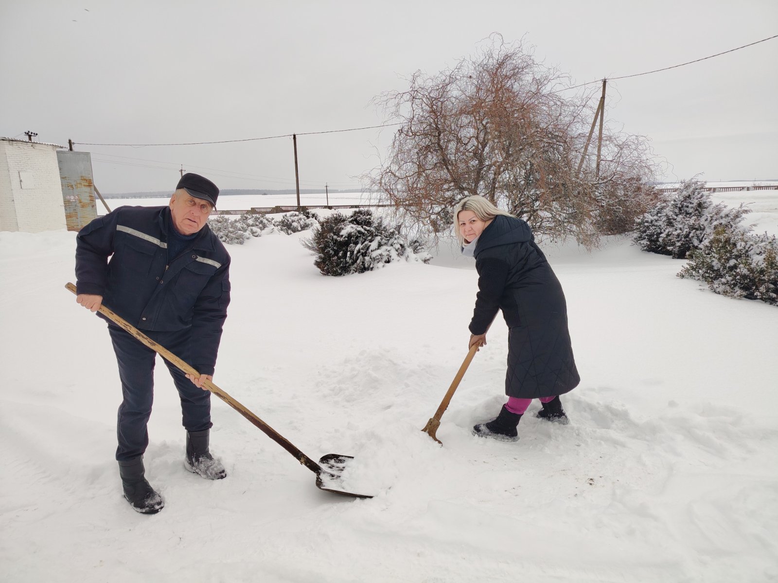 изображение_viber_2026-01-10_13-33-45-815