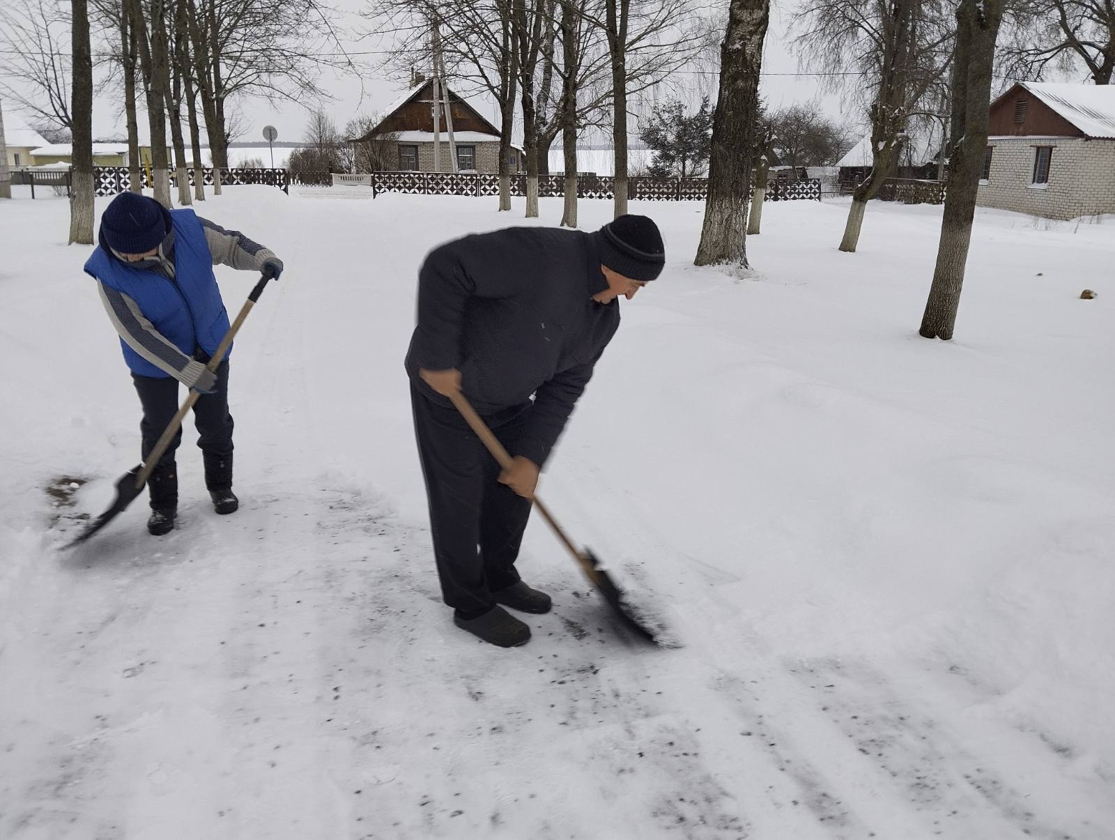 изображение_viber_2026-01-10_13-46-45-826