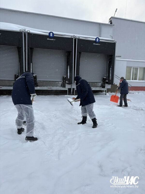 izobrazhenie_viber_2026-01-09_11-30-53-666