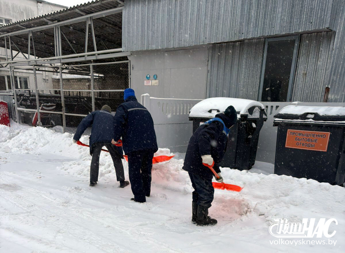 изображение_viber_2026-01-09_11-10-19-101