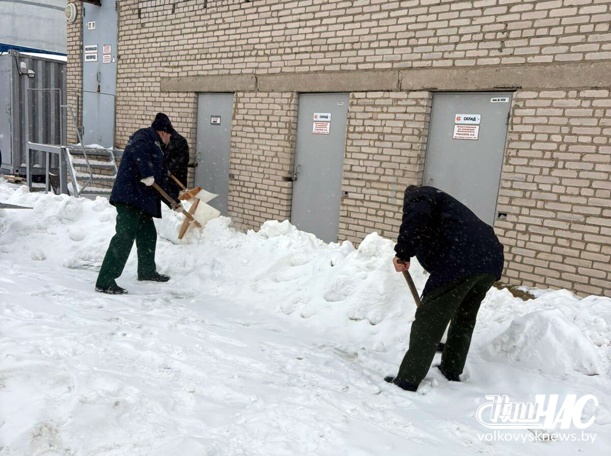 изображение_viber_2026-01-09_11-10-20-979