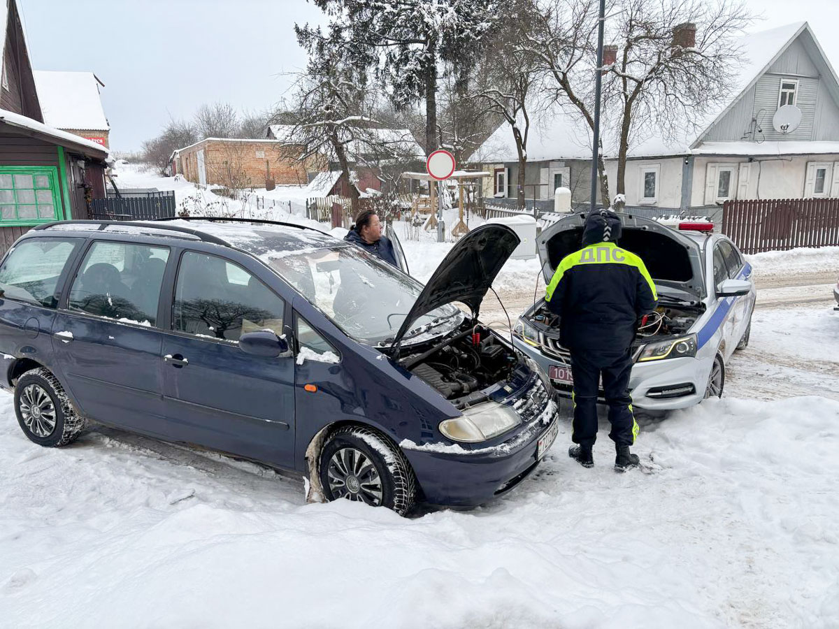 изображение_viber_2026-01-15_10-33-39-595