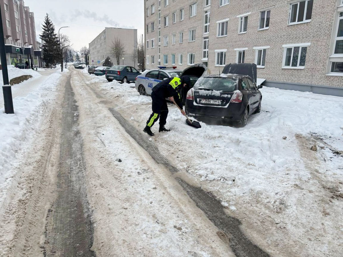 изображение_viber_2026-01-15_10-33-40-139