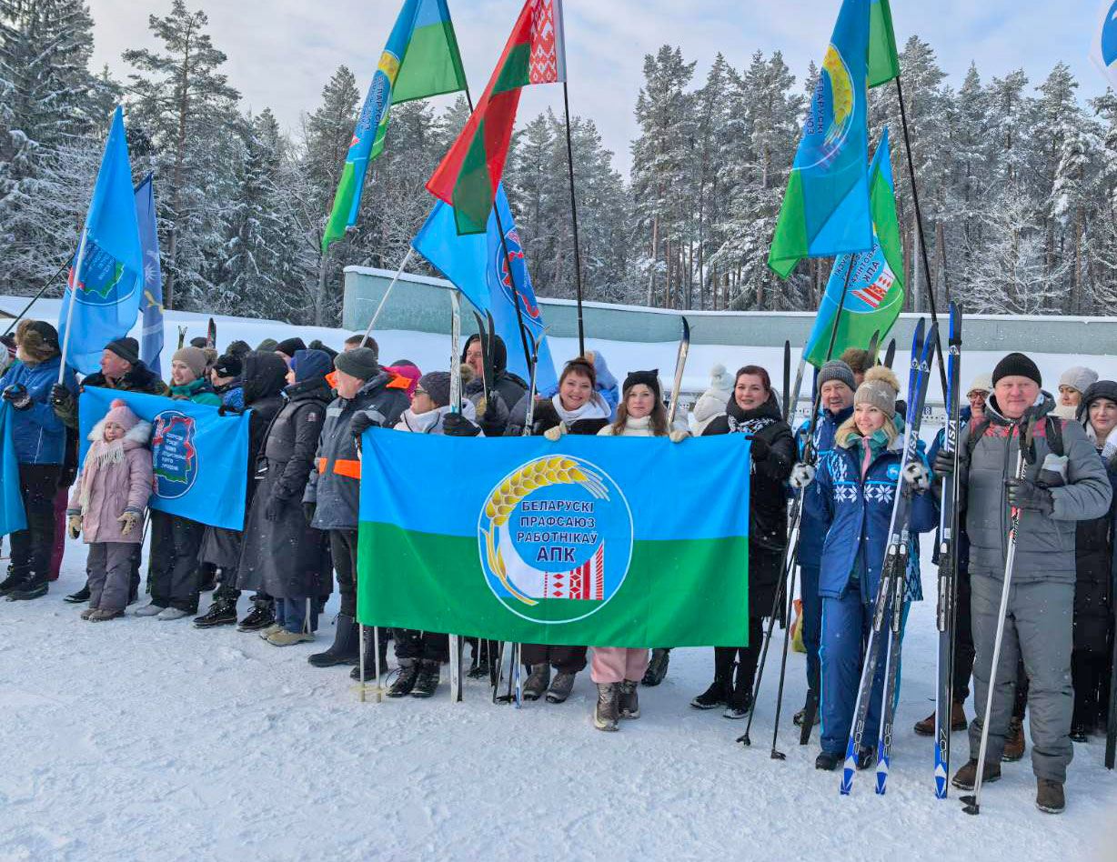 изображение_viber_2026-01-26_15-21-27-819