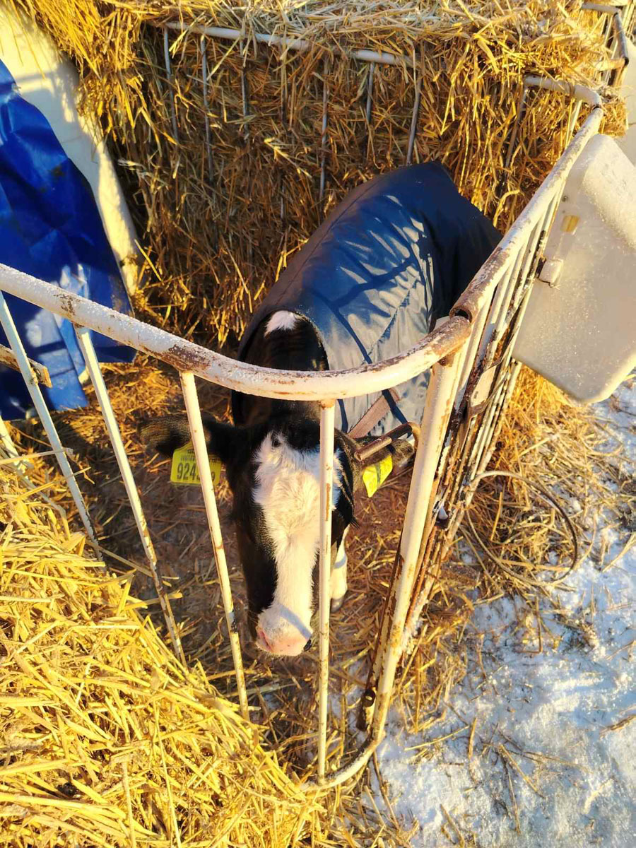 изображение_viber_2026-02-03_11-42-23-330