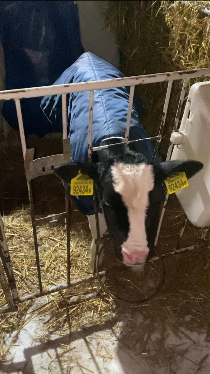 изображение_viber_2026-02-03_11-47-52-541