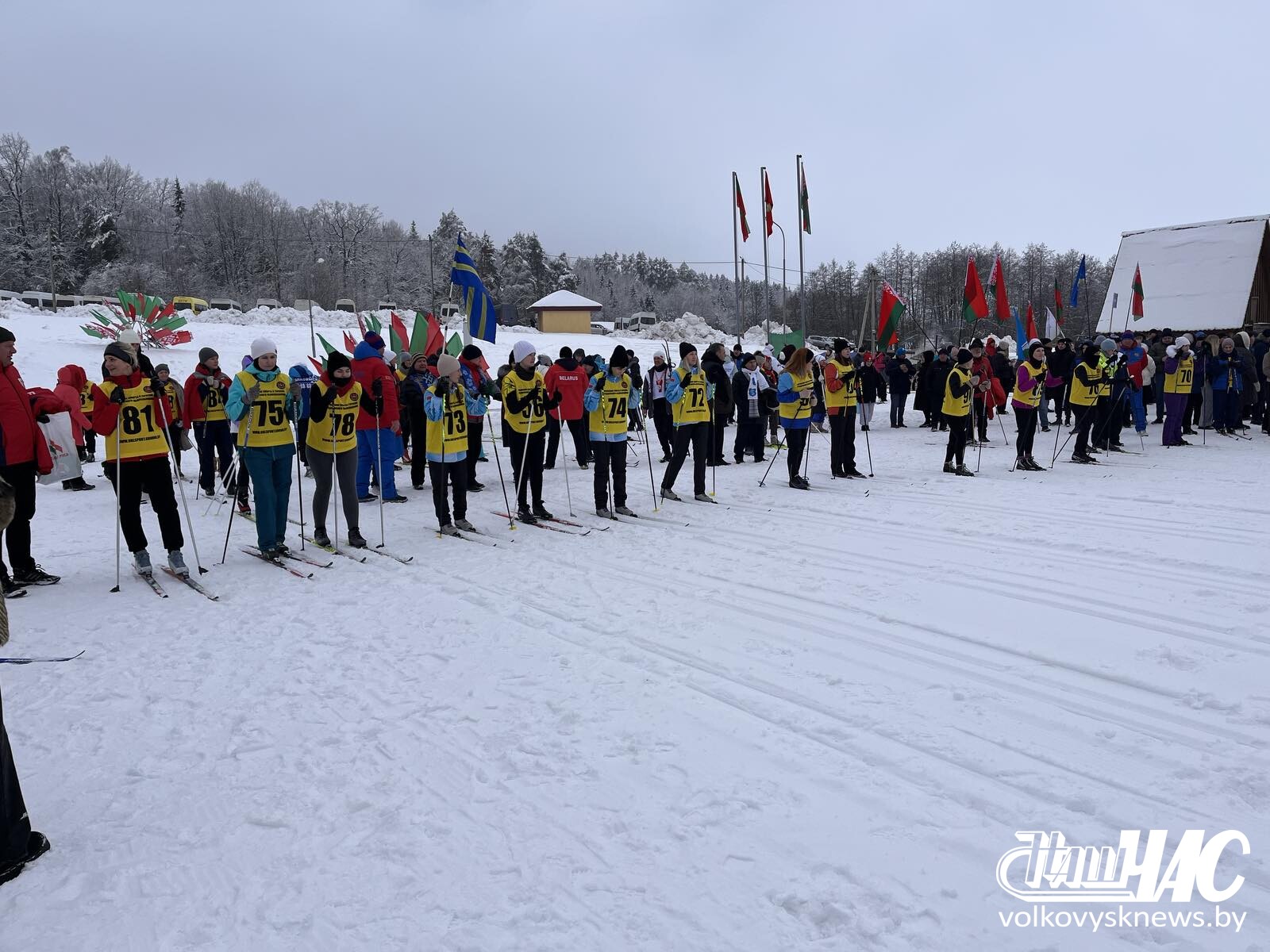 изображение_viber_2026-02-07_14-05-13-809