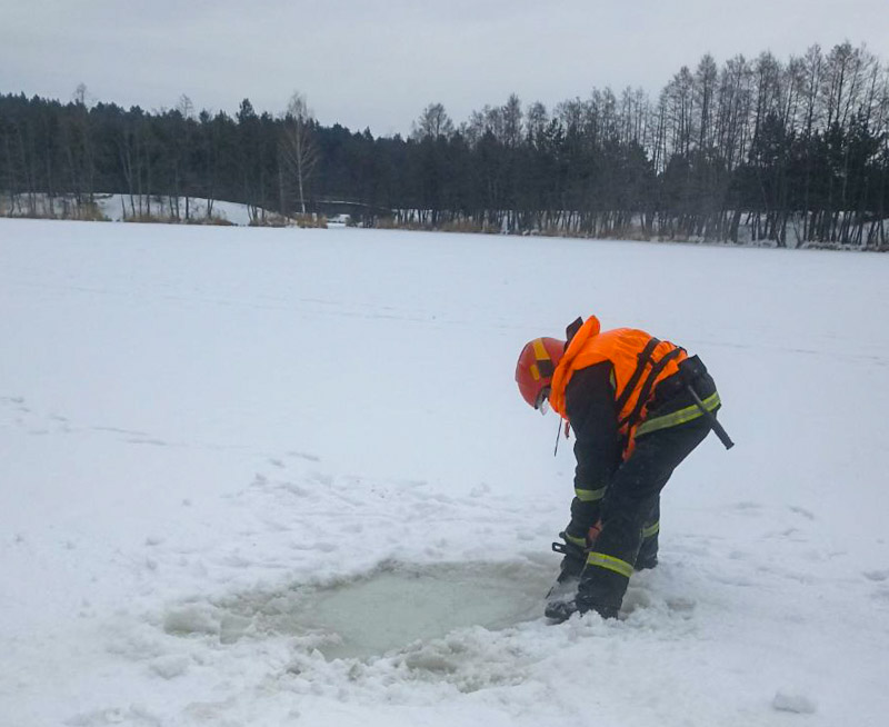 изображение_viber_2026-02-10_16-44-56-385