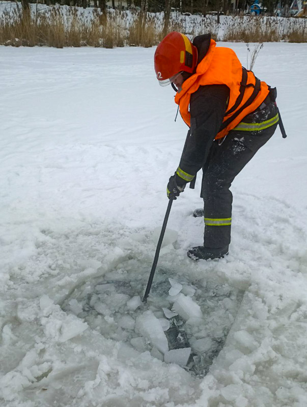 изображение_viber_2026-02-10_16-44-57-381