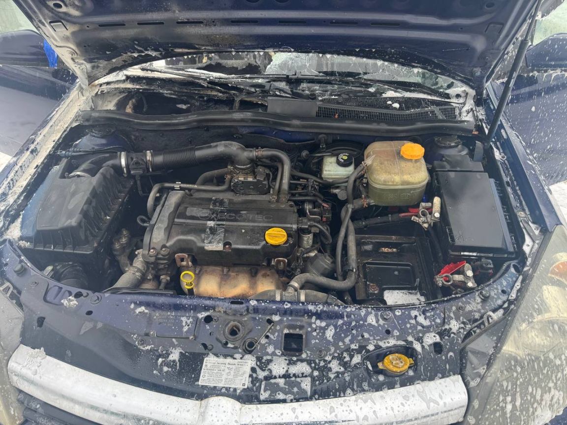 изображение_viber_2026-02-11_12-03-11-177