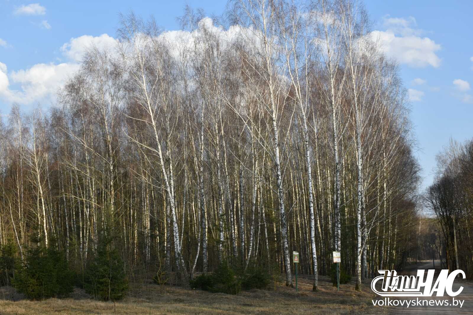 изображение_viber_2026-03-13_19-05-13-850