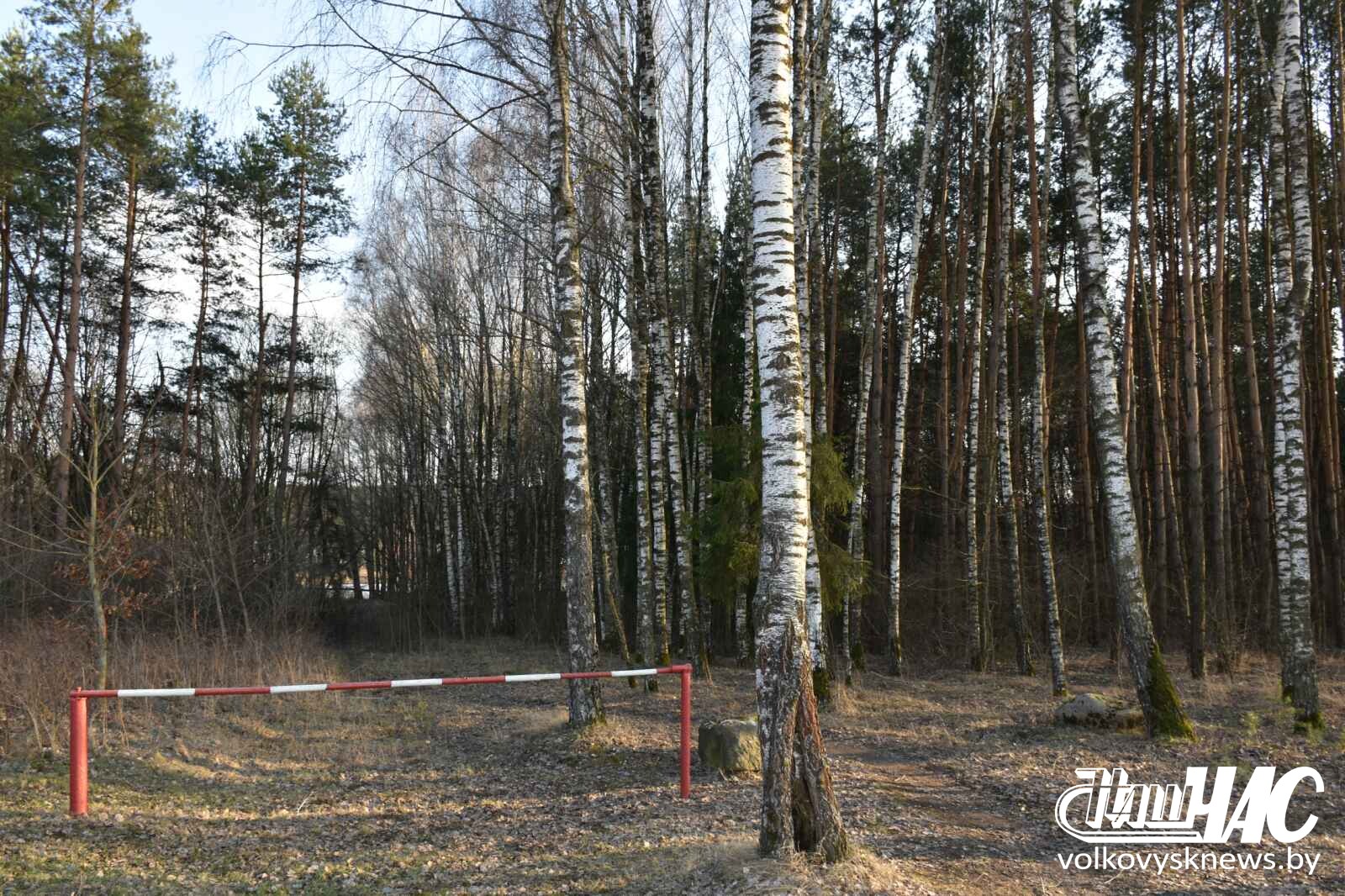 изображение_viber_2026-03-13_19-05-15-495