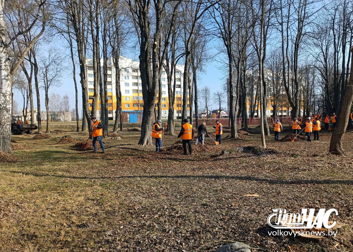 изображение_viber_2026-03-25_17-06-03-383