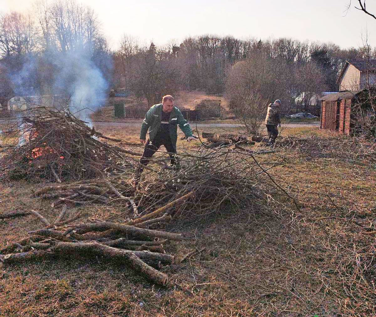 изображение_viber_2026-03-30_09-41-46-438