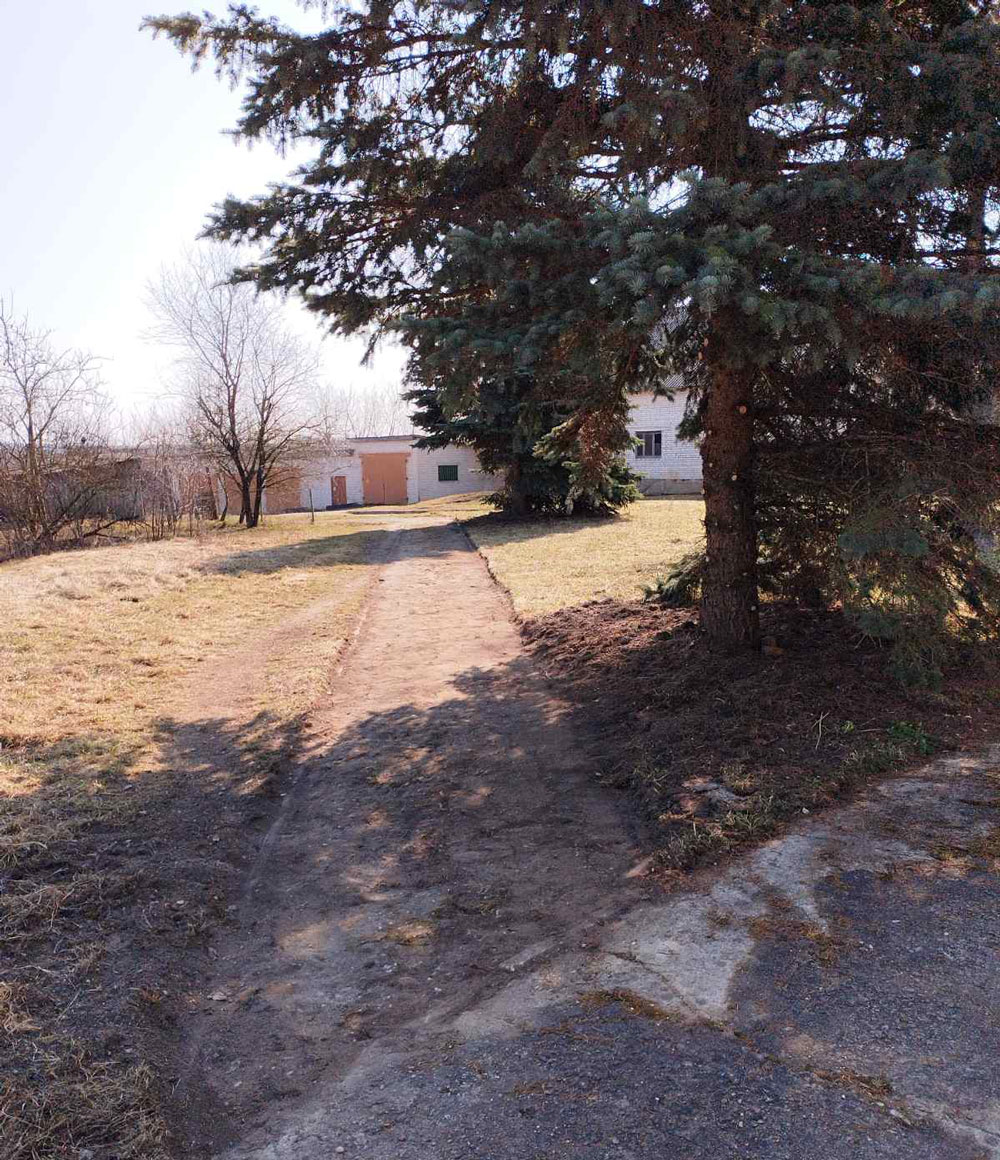 изображение_viber_2026-03-30_09-41-47-644