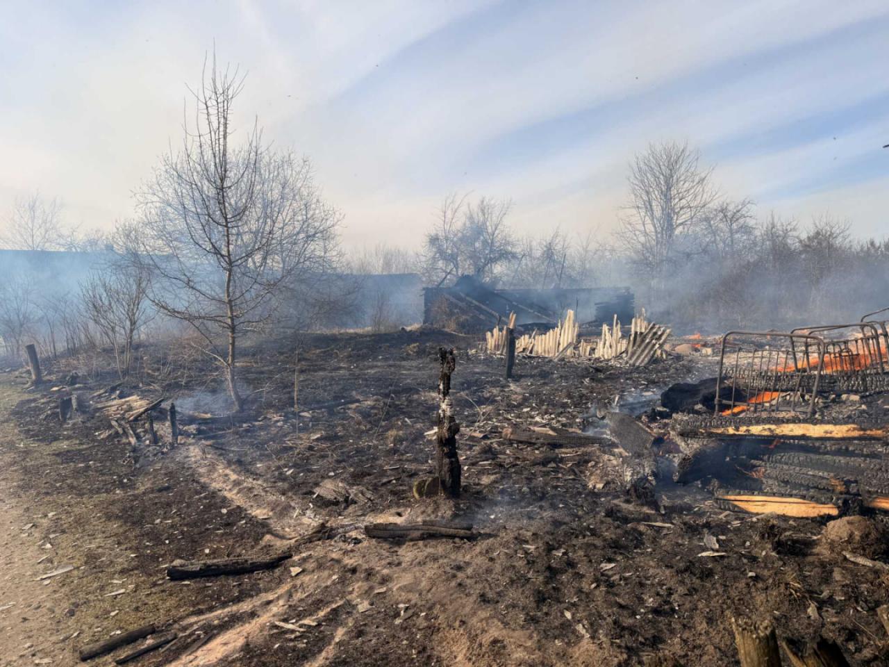 изображение_viber_2026-04-07_16-11-03-967