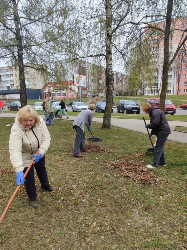 изображение_viber_2026-04-17_17-44-51-668