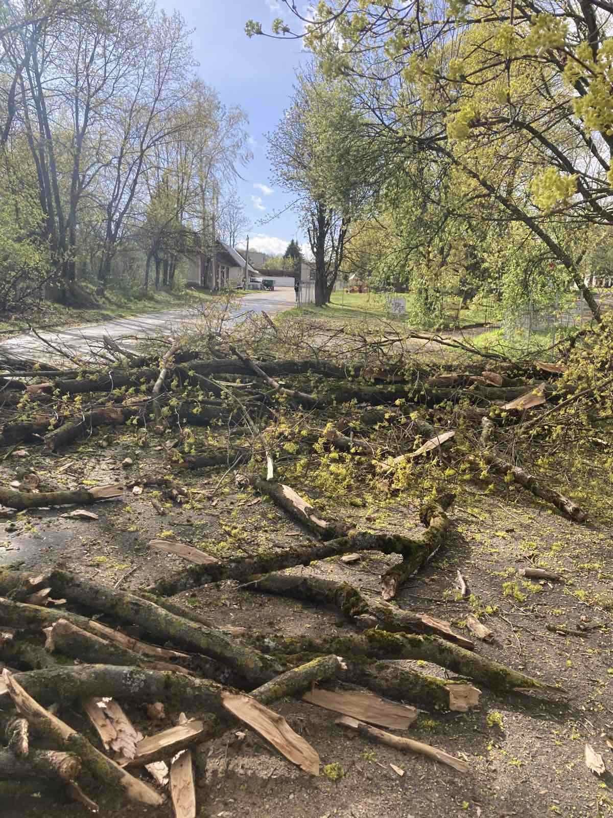 изображение_viber_2026-04-27_12-30-22-167