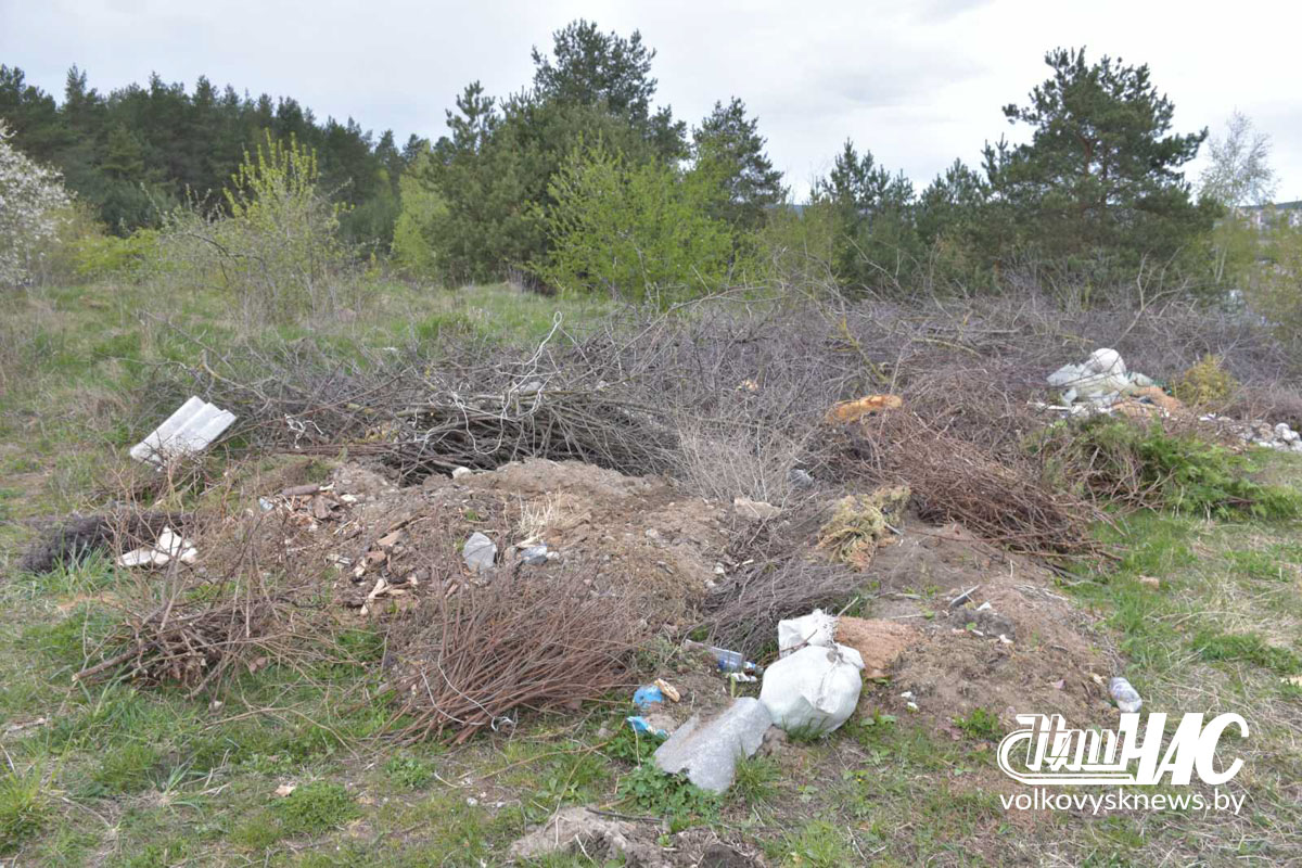 изображение_viber_2026-04-27_16-15-24-186