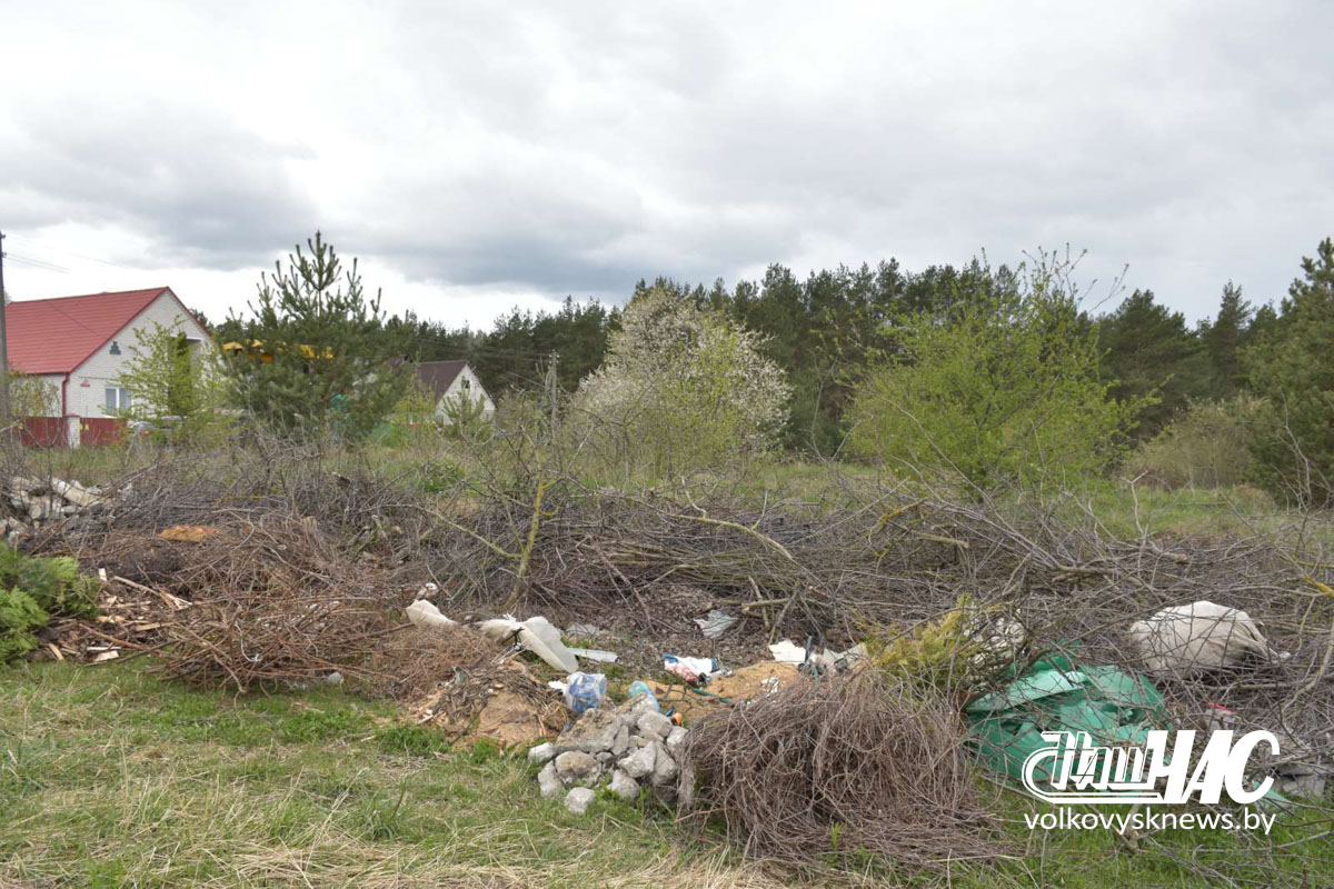 изображение_viber_2026-04-27_16-15-29-318