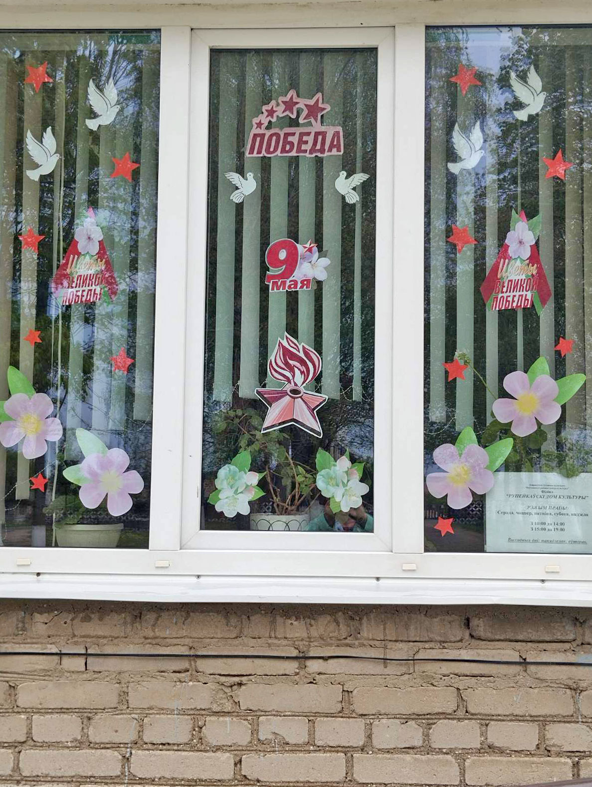 изображение_viber_2026-05-06_20-32-27-257