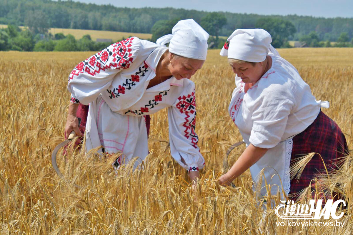 изображение_viber_2026-06-30_14-24-37-624
