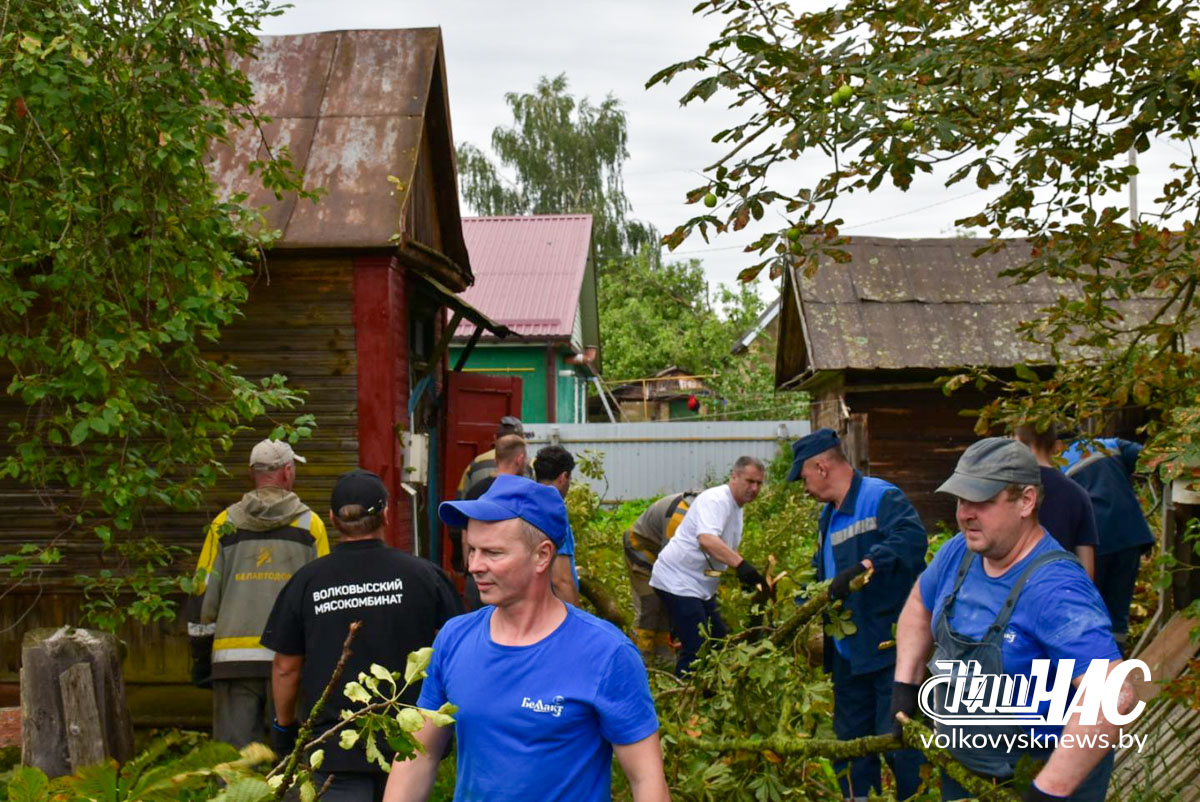 изображение_viber_2026-08-07_13-05-35-166